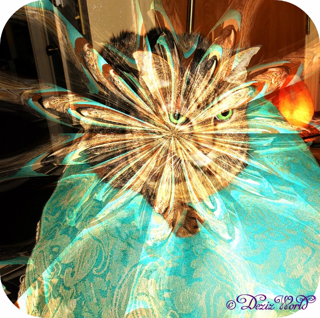 Lexi with a star overlay