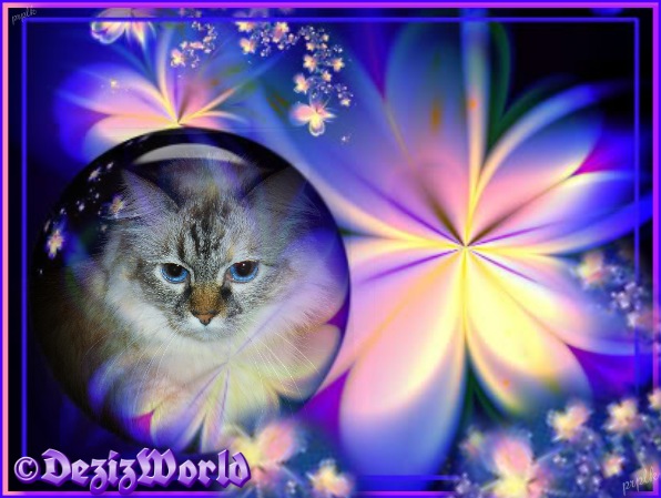 Dezi in blue, pink and purple frame with swirled flowers