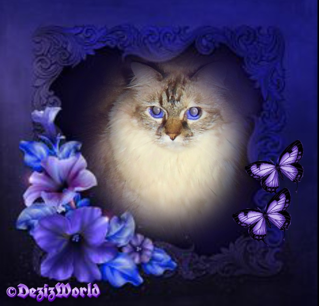 Dezi in purple heart frame with lilies