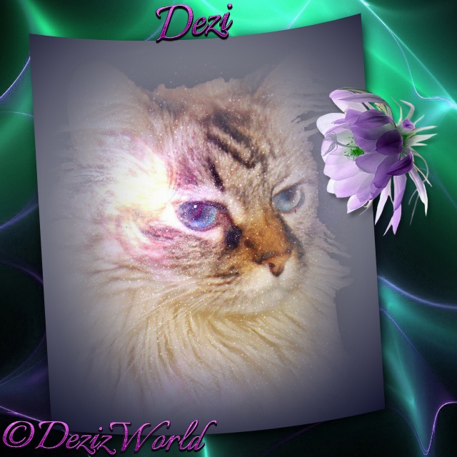 Glowing galaxy Dezi in a turquoise and purple frame