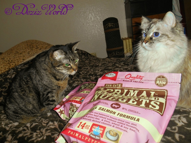 Dezi and Lexi with 2 bags of Primal freeze dried cat food, gift from LouLou
