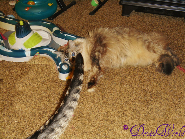 Sis Lexi foto bombed me