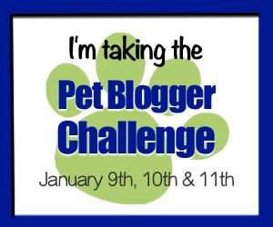 petbloggingchallengebadge