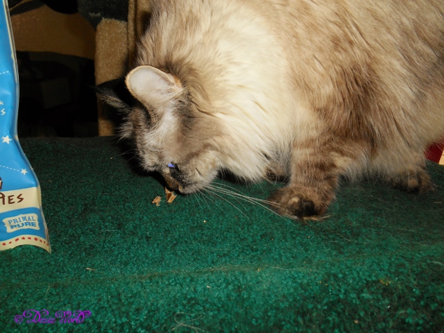 dw-DeziprimalporkliverDSCN6009ribedit (640x480)