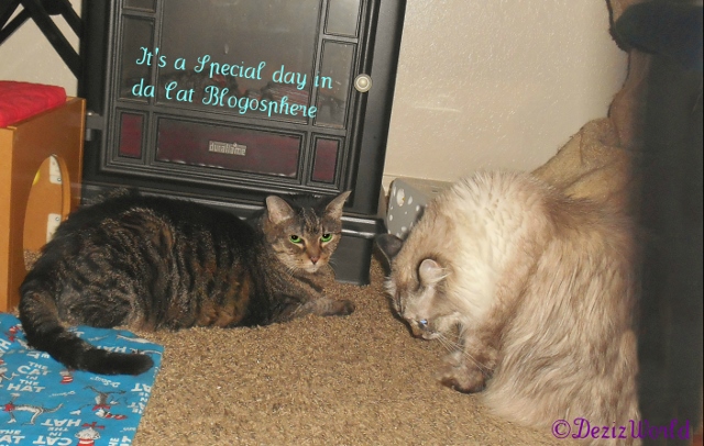 dw-DnLCB5496ribedit1 (640x406)