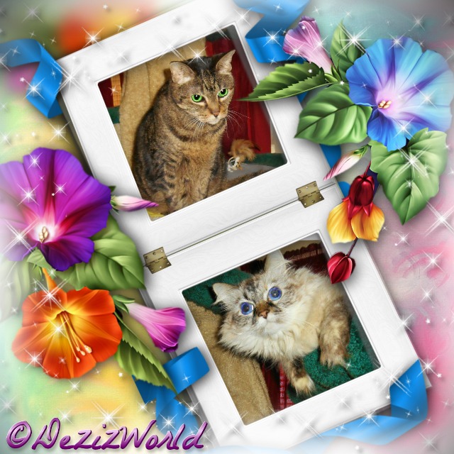 dw-DnLeditGlory Days - 2HEoW-1hA - normal