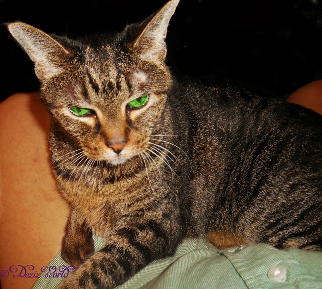 Lexi at 16 years old in mommy's lap