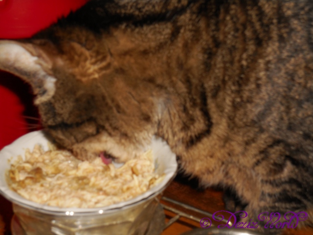 Mmmmmmmm Thiz iz gooooood.