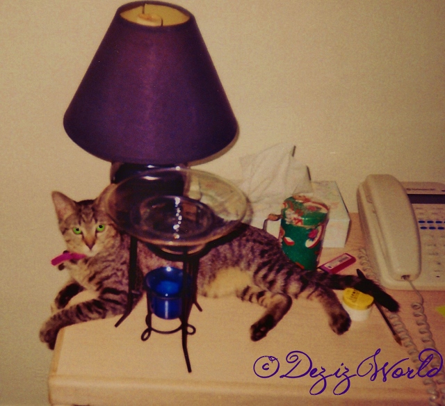 Young Lexi laying on a side table