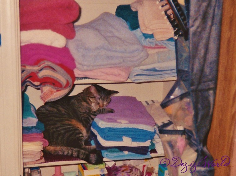 2 year old Lexi napping in the towel closet