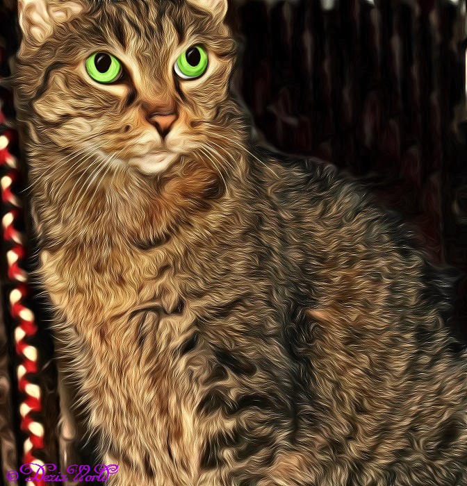 Lexi sitting on cat tree in paint