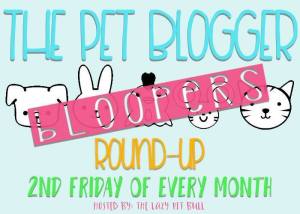 Blooper Round Up