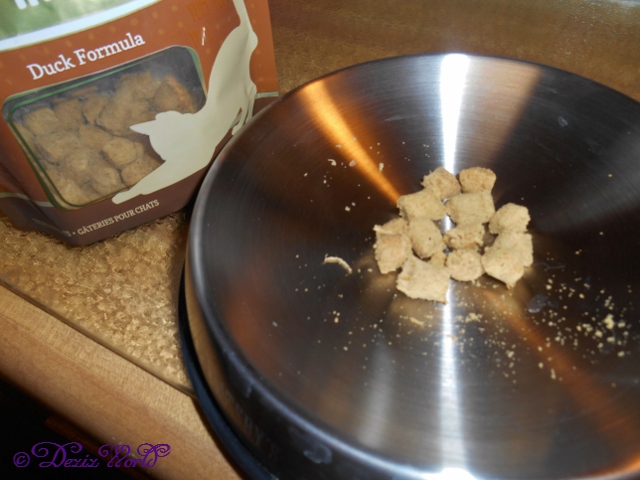 Nature's Variety Instinct Raw Boost Minis Duck formula cat treats in Dr. Catsby's bowl