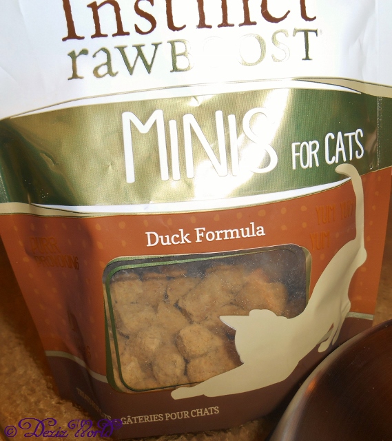 Nature's Variety Raw Boost Minis duck cat treats in 2.25 oz. bag