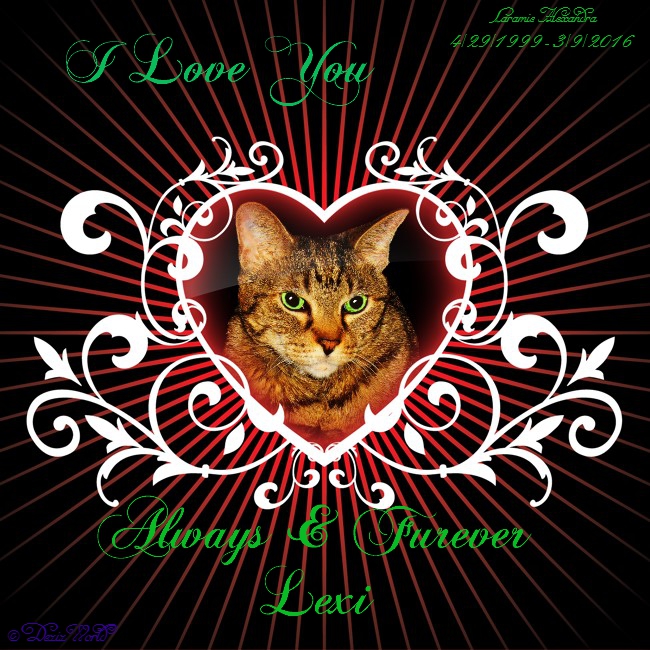 Lexi:Always and Furever