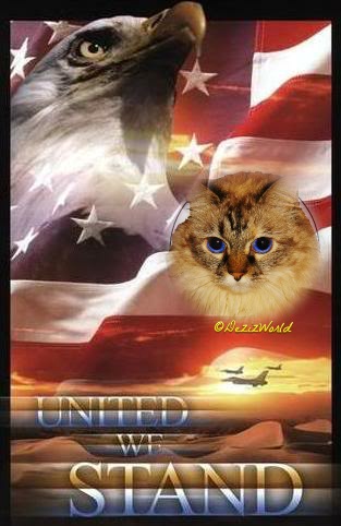 Dezi with U.S. flag, United we Stand