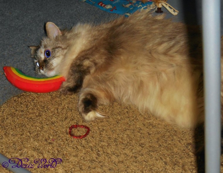 Dezi nips out with her Yeowwwrainbow