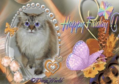 Dezi in an oval frame with fluttering butterfly saying Happy Friday