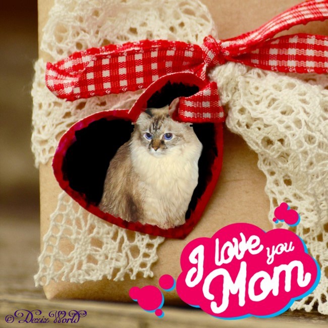 Dezi in heart frame that says I Love You Mom for Mother's day