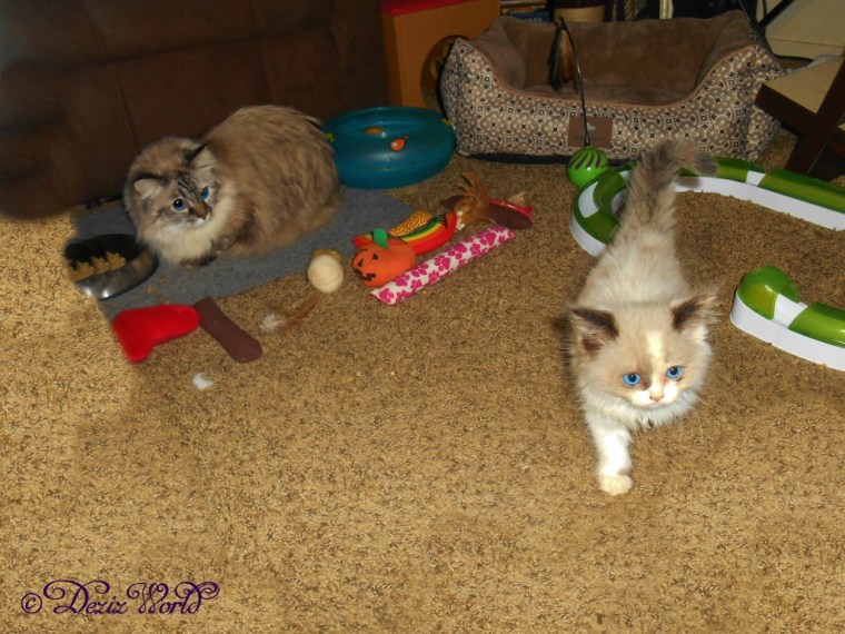 Dezi and Raena together