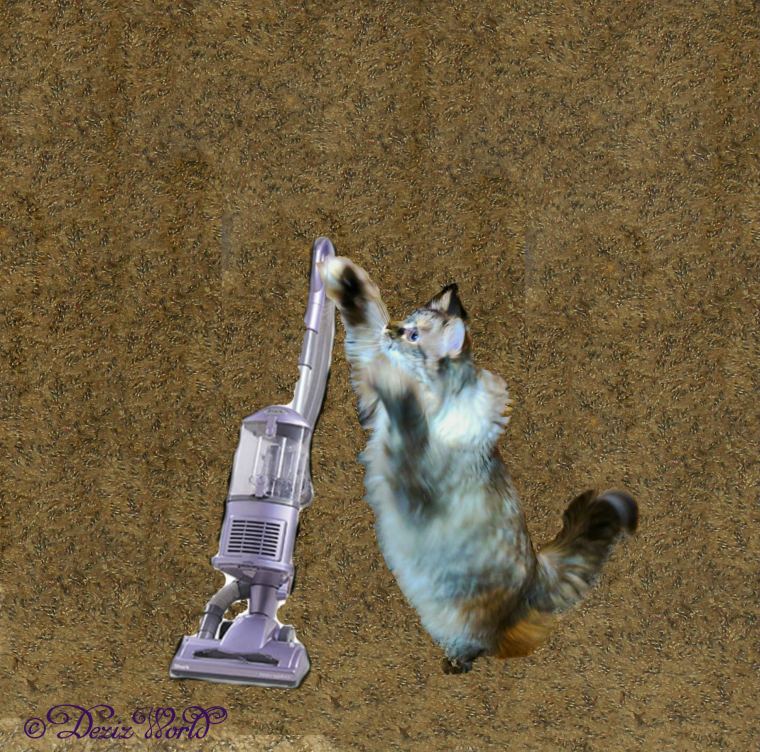 Dezi uses the Shark vacuum 