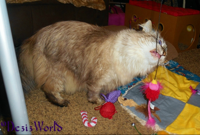 Dezi biting string on interactive wand toy