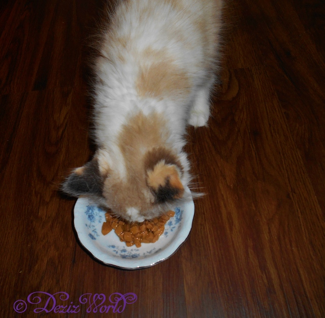 Raena smelling Whole Earth Farms chicken