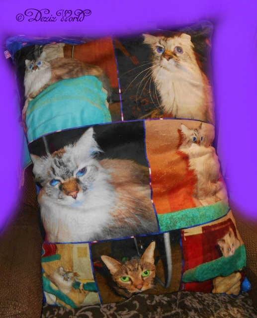 Pillow Pet Bed from collage.com customized with photos of Dezi, Lexi and raena