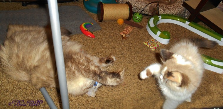 Dezi and Raena playing patty cake