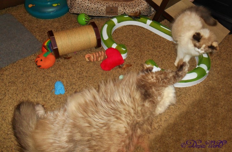 Dezi and Raena playing patty cake