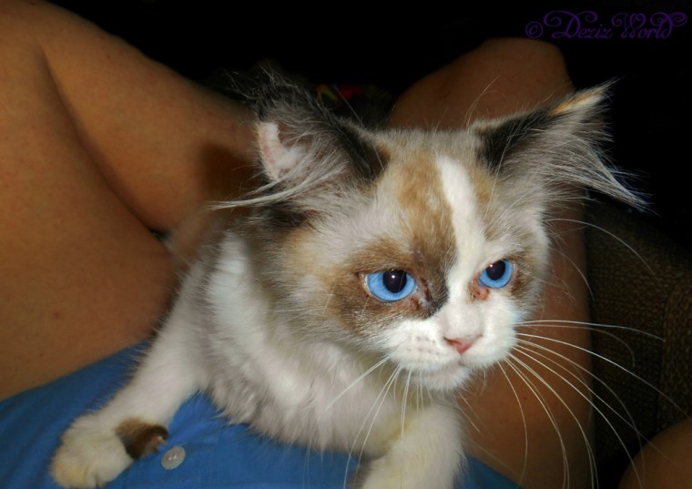 Raena reaching up to alert mommy