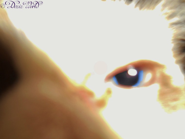 RaenaBelle's eye closeup