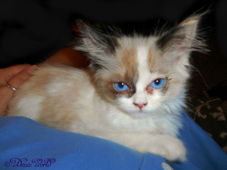 Raena's selfie from mommy;s lap