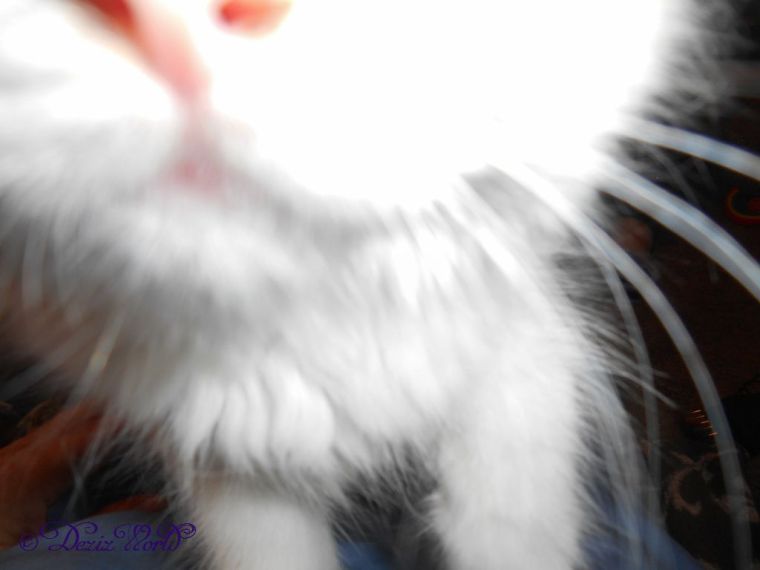 RaenaBelle's nose and mouth selfie