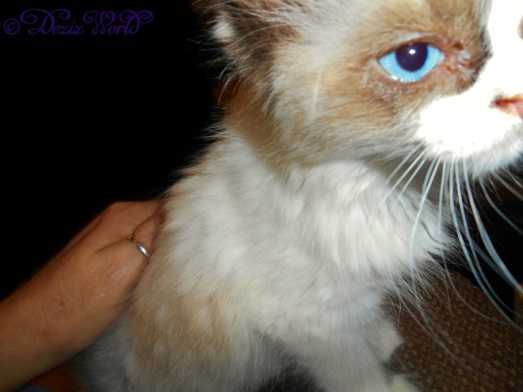 RaenaBelle half rpofile cut off selfie