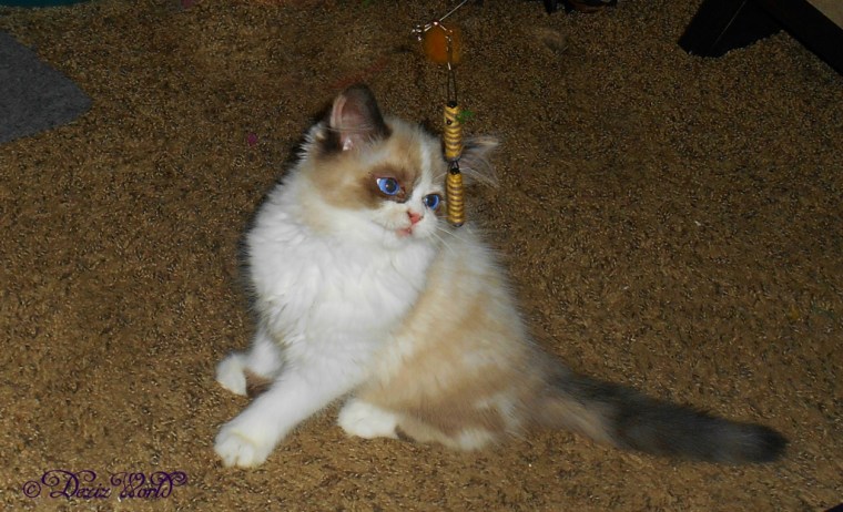 Raena poses while playng with the flying toy