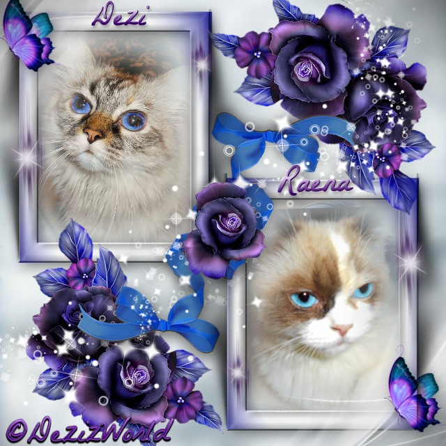 Dezi and Raena in picture frame with blue and purple flowers surrounded by a cloudy white