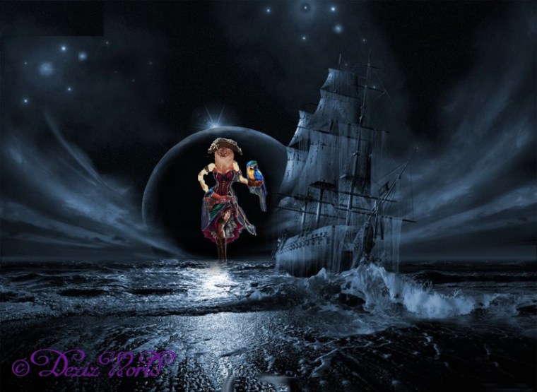 Pirate Dezi with parrot and ship