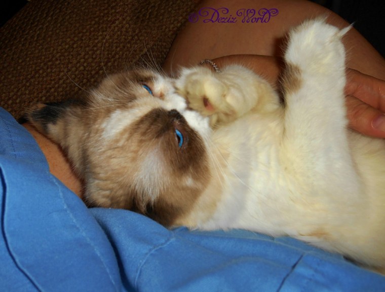 Raena lays in mommys lap and bathes