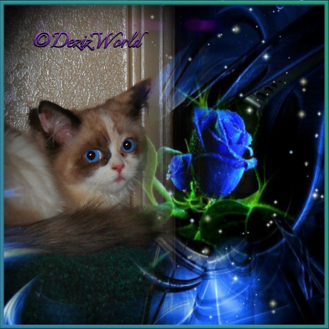 Raena in a frame with blue flowers