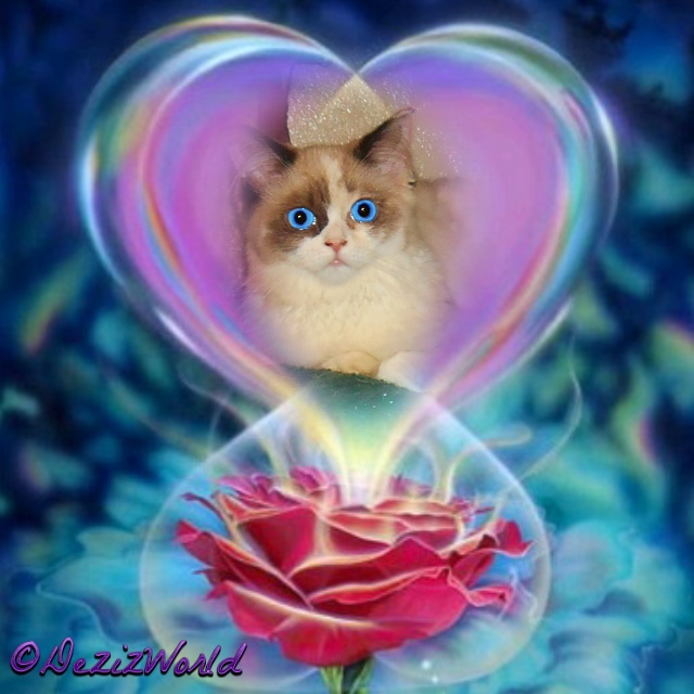 Raena in a purple heart blooming from a red rose surrounded by blue