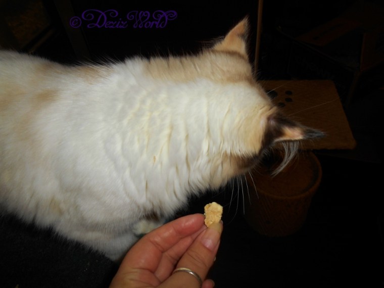 Raena refuses treats