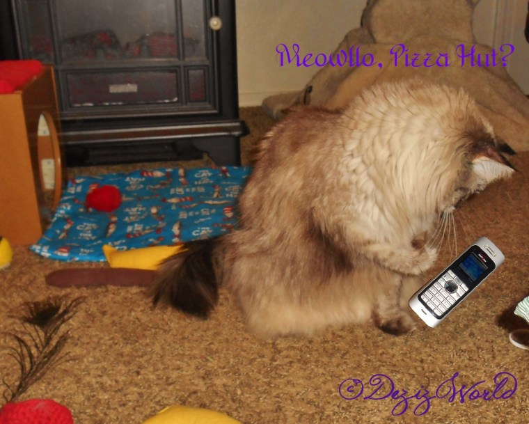 Dezi with phone calling pizza hut