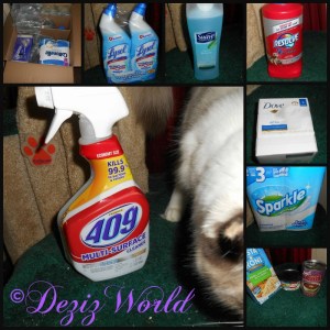 Collage of gift box 10/2016