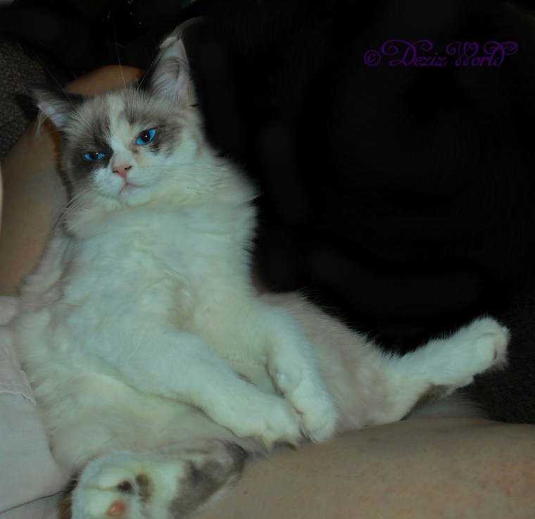 Raena lays in mommys lap