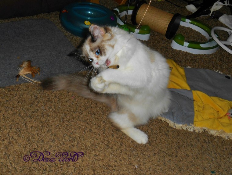 Raena playing with wand toy