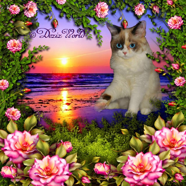 Raena surrounded by pink flowers, water and a sunset.