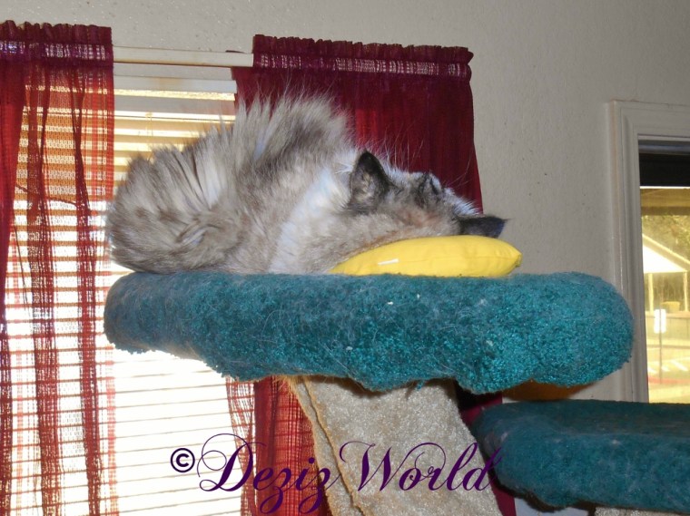 Dezi with her nip nanner