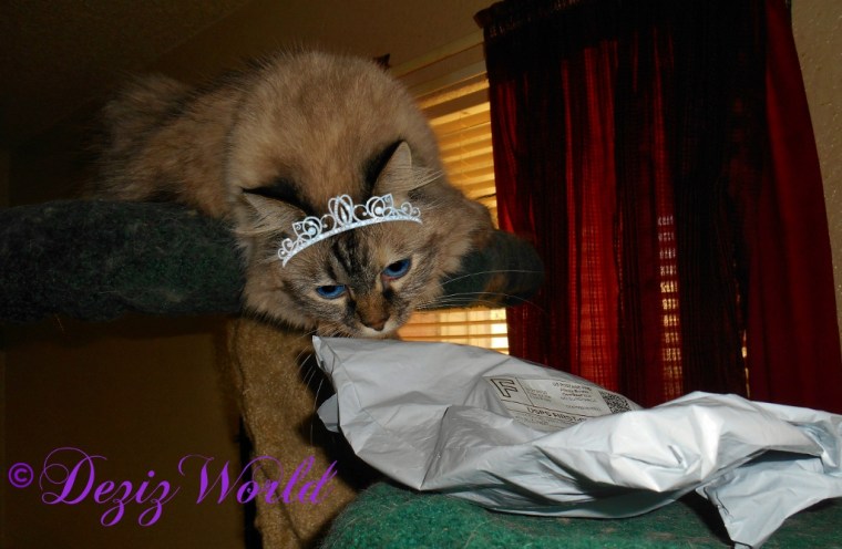 dw-dezi-bd-packdscn8039edittiara-1024x669