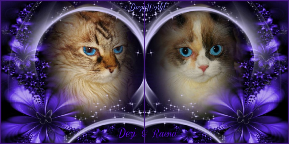 Dezi and Raena in a purple frame